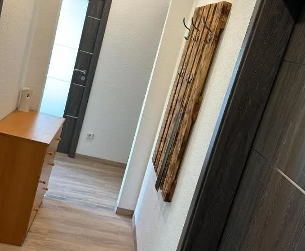 Neu! Og Links * Elsteraue